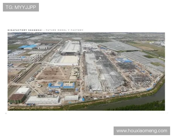 全球挑战赛分析LNG的强劲表现与未来发展潜力探讨