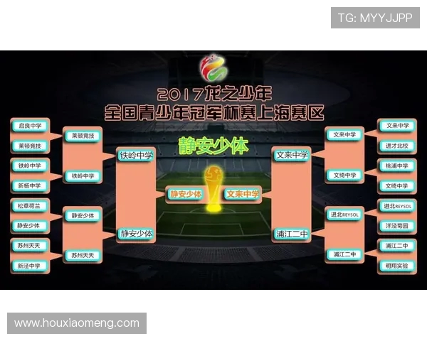 南京足球队杯赛表现评析:经验与战术的完美结合之路