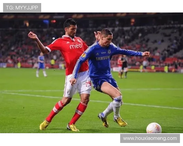 埃斯托里与本菲卡的精彩对决比分揭晓，赛季走势分析与回顾